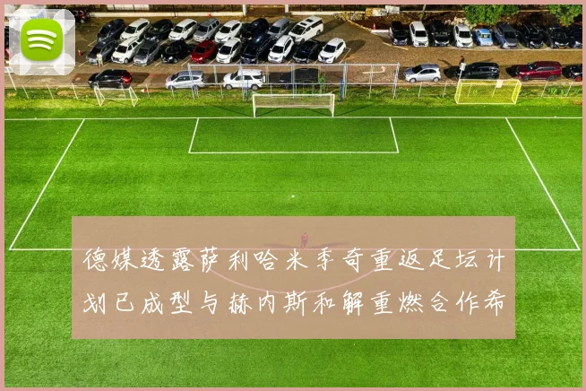 德媒透露萨利哈米季奇重返足坛计划已成型与赫内斯和解重燃合作希望