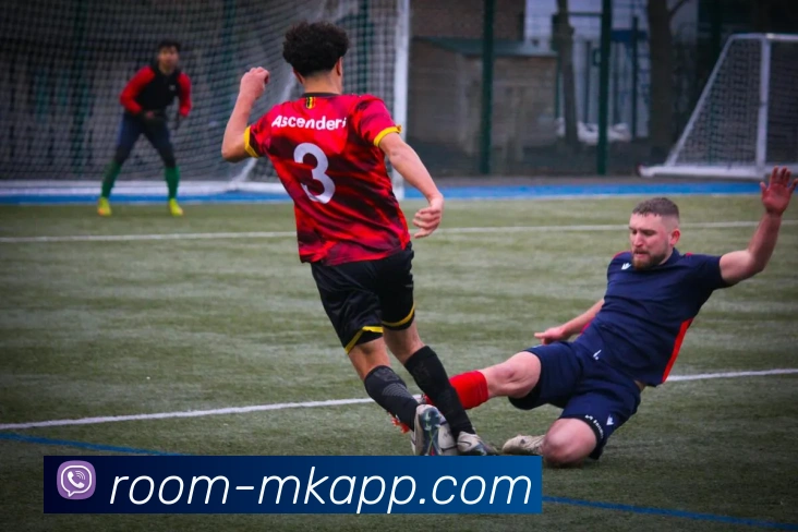MK体育平台生态图