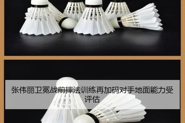 张伟丽卫冕战前摔法训练再加码对手地面能力受评估 | MKSports